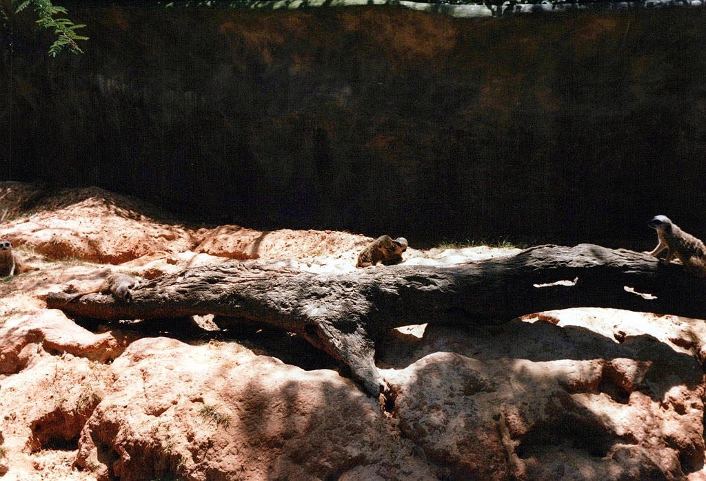 1999 - Floride 30.jpg